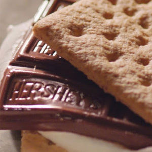 Meet your Posher, Lily